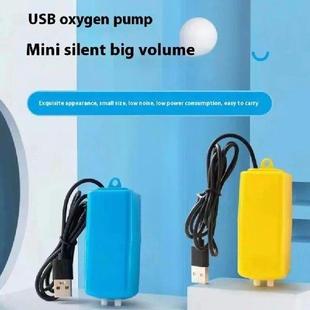 Pump Kit Oxygen Mini Check Air With Valve Aquarium