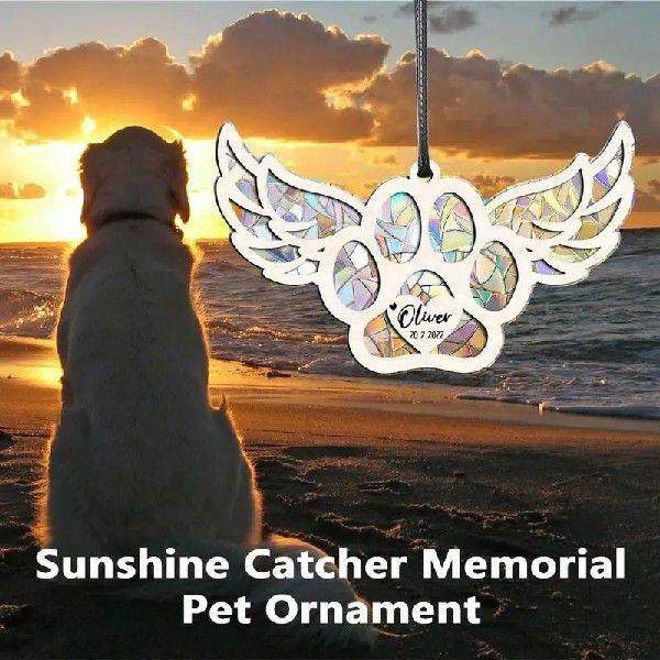 Acrylic Sunshine Catcher For Window Window Sunshine Catcher