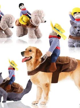 Pet dog and cat transform into funny costumes Halloween pet