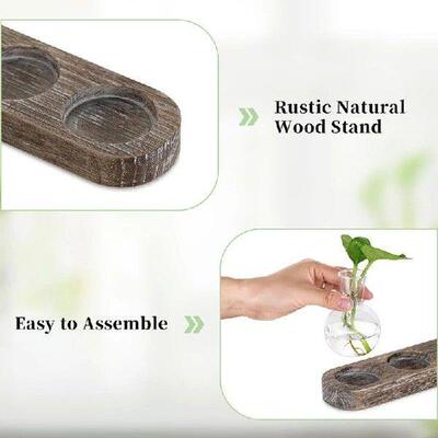 Propagation Station Glass Vases Decoration: 5 Plants