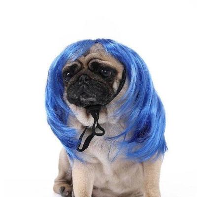 Pet Hairpiece Bob Wigs Ikun Costume Dog Wigs for Small