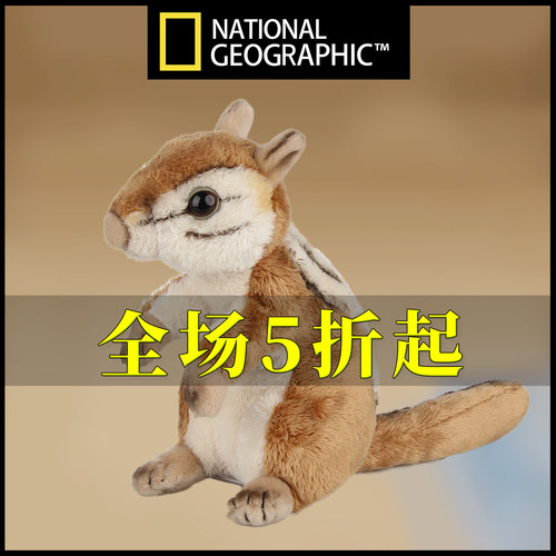 国家地理仿真花栗鼠毛绒公仔
