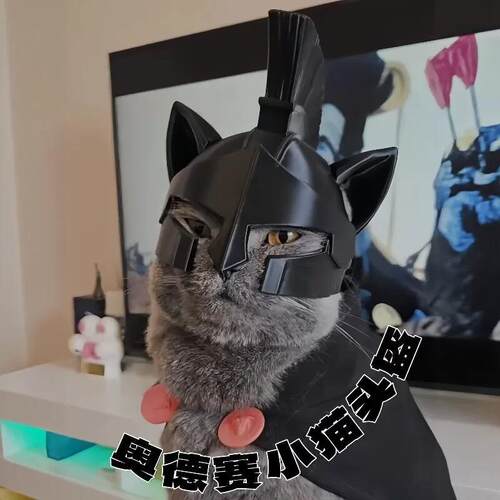 奥德赛小猫头盔3D打印阿伽门农宠物帽子斯巴达勇士猫咪小型犬头盔