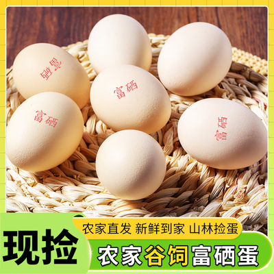 芮瑞农家散养富硒鸡蛋鲜鸡蛋营养新鲜现捡鸡蛋10枚*50g鸡蛋
