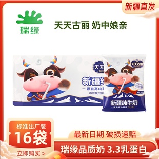 新日期新疆瑞缘纯牛奶天天古丽3.3克乳蛋白儿童营养早餐奶全脂