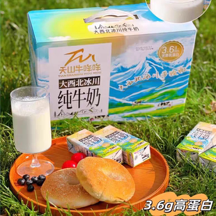天山牛哞哞全脂纯牛奶3.6g蛋白200ml*20盒儿童营养早餐奶