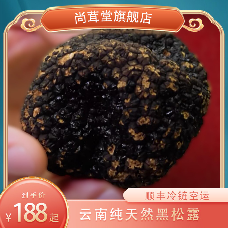 新鲜黑松露菌云南特产松露菌菇500g鲜黑松露猪拱菌块菌松露菌类|msdalam kategori daging perikanan/Buah-buahan segar dan sayur-sayuran/dimasak, sayur-sayuran segar/Vegetable Products, cendawan segar - dari Buy2taobao.com untuk memberikan perkhidmatan ejen Taobao profesional membeli