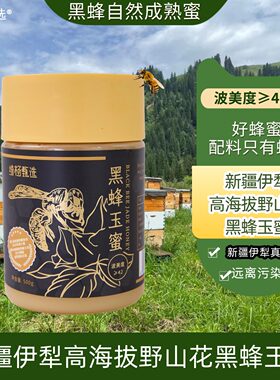 新疆特产黑蜂玉蜜采野百花蜜黑蜂蜂蜜高波美度结晶蜂蜜纯蜂蜜正品