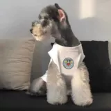 Tide Brand Pet Spring и Summer Thin Dog Vest Teddy Bienari Skunari Cat маленькие собаки дышащая одежда