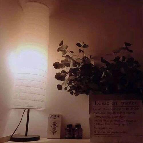 Paper Floor Lampshade Light Bulb Cage Guard for Bedroom