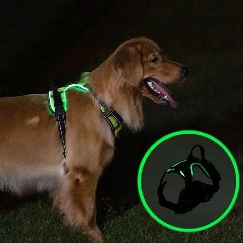 Dog Anti Escape Chest Back Harness LED Dog Vest Leash for