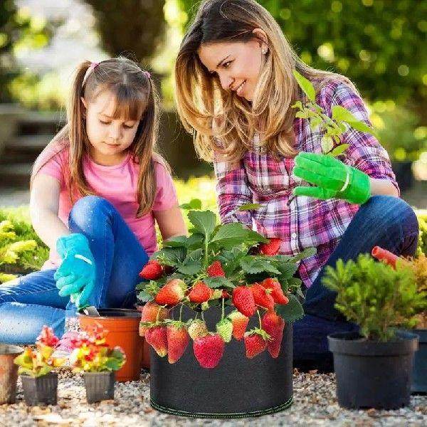 15 Gallon Grow Bags Reusable Non-woven Plant Fabric Pots