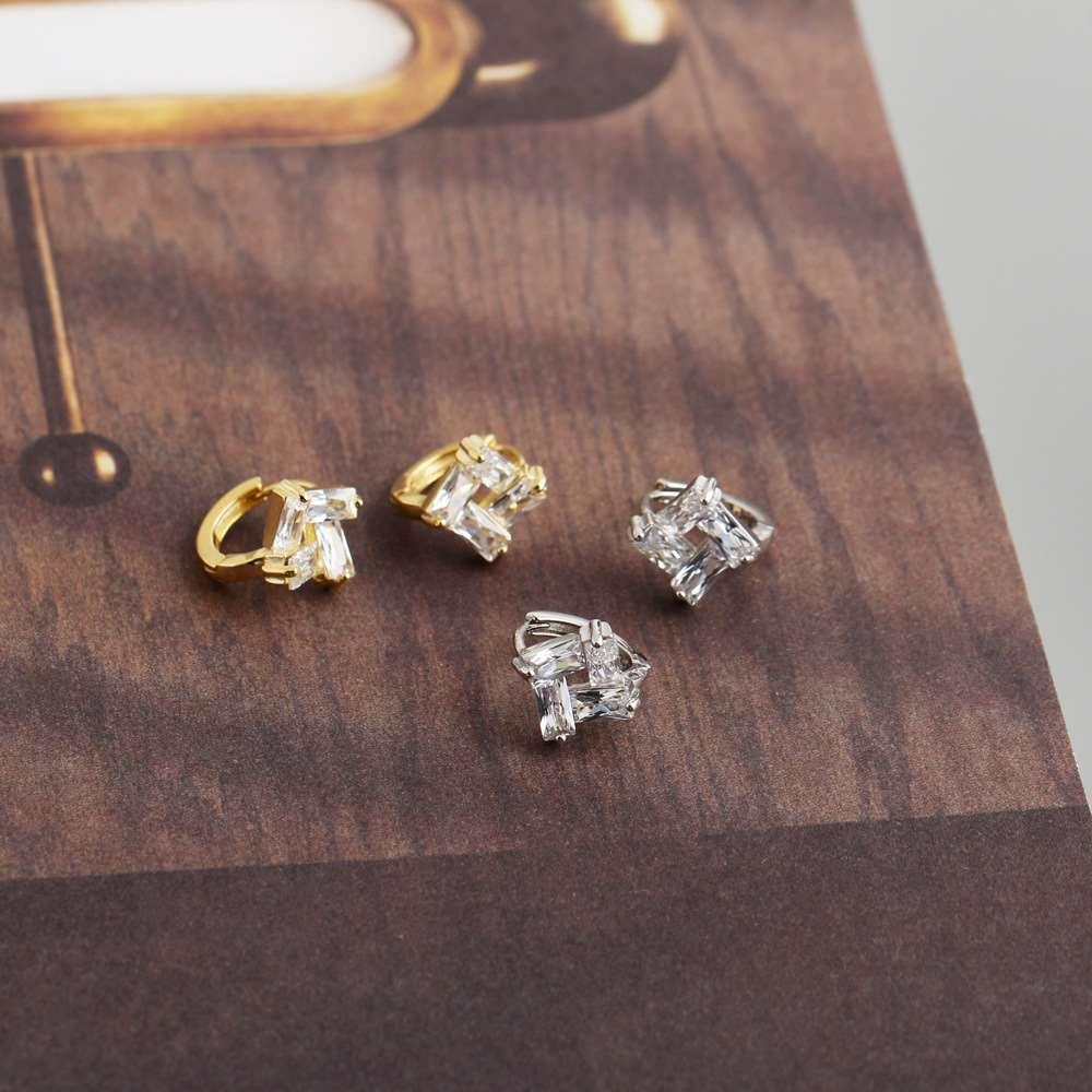 EH1347 Advanced Sense Earrings Zircon s925 Sterling Silver E