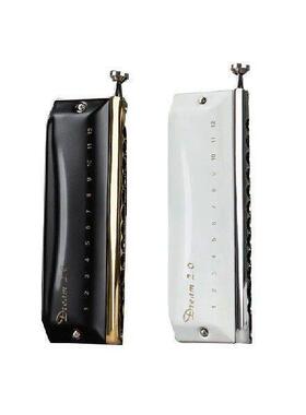 EASTTOP r 2.0 Upade Profional 2 Hole Diatonic Harmonica