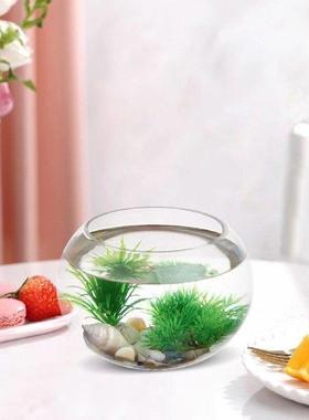 Home Accessories Glass Fish Tank Goldfish Bowls Filter