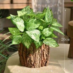 Desktop Creative Flowerpot Succulent Storage Wooden
