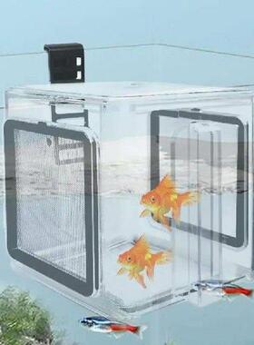 Breeder Box For Fish Tank Hatchery Incubator Acrylic