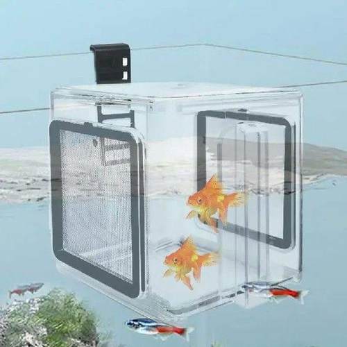 Breeder Box For Fish Tank Hatchery Incubator Acrylic