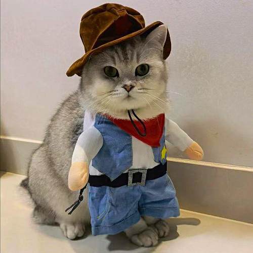 Cat Costume Clothes Funny Halloween Cosplay Cowboy Pet Outfi