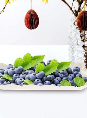 4 Pcs Party Platter Paper Lace Cake Pan Set Plates Serving