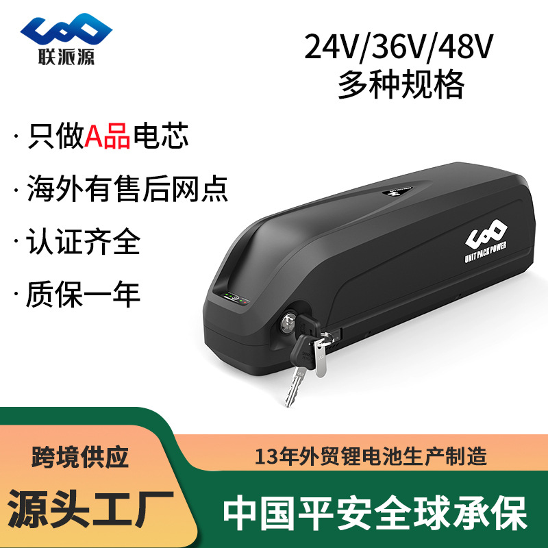 电动车锂电池48V13AH山地自行车36V海龙一号二型锂电池组