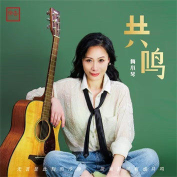 梅小琴《共鸣》车载U盘/DSD/HQ/HQII/UHQ+MQA/24K金碟/1:1CD/LP