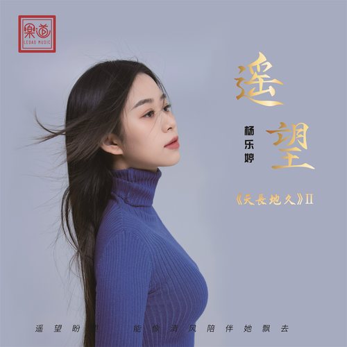 杨乐婷《遥望》车载U盘/DSD/HQ/HQII/24K金碟/1:1直刻 CD/LP