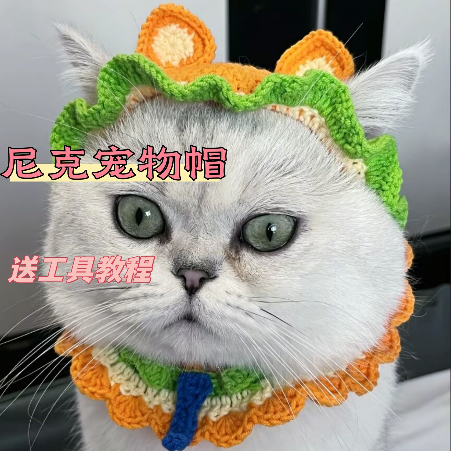 疯狂动物城朱迪尼克同款宠物帽子