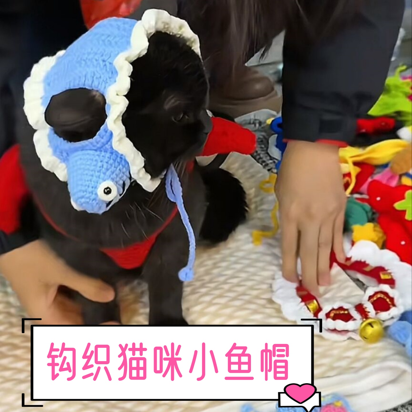 宠物猫小鱼帽子装饰品变装头饰