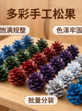 松果染色手工文创展示制作干花
