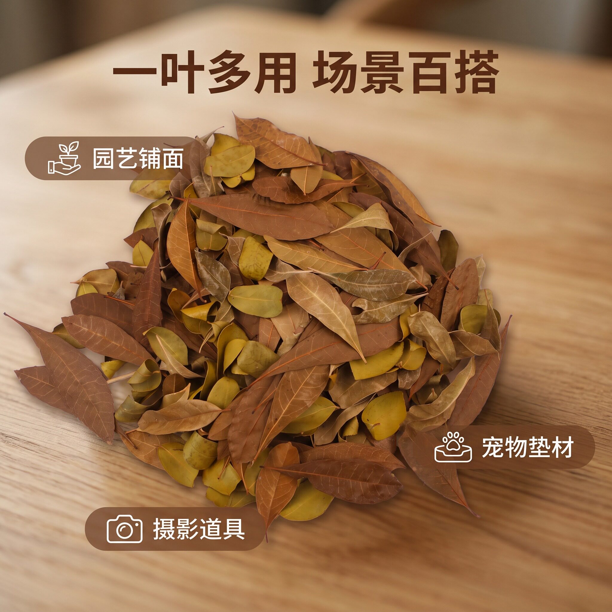 混合杂树叶造景拍摄点缀盆栽覆盖