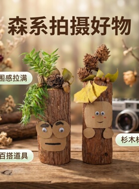 杉木桩人摆件造景配件森系静物