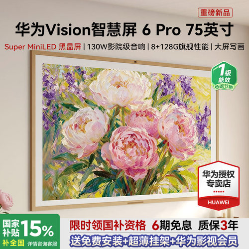 包安装+超薄挂架！Vision6Pro
