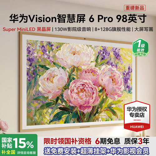 包安装+超薄挂架！Vision6Pro