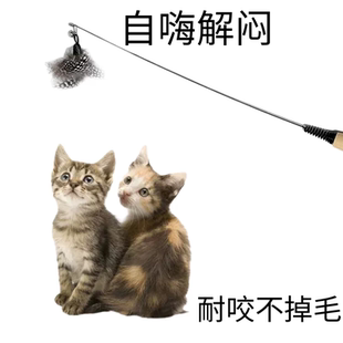 逗猫神器 猫咪自嗨解闷 CFA赛级逗猫棒 长杆木柄羽毛替换头