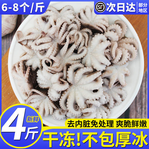 八爪鱼鲜活冷冻大八爪鱼小章鱼
