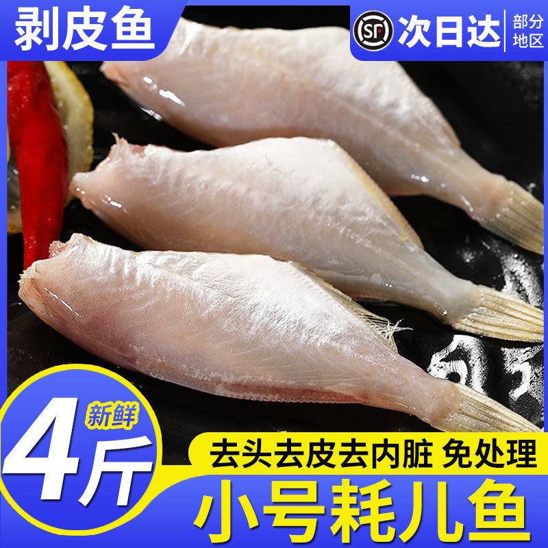 耗儿鱼新鲜冷冻小号扒皮鱼马面鱼中小号剥皮鱼商用批发火锅海鲜