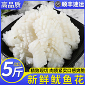 5斤新鲜鱿鱼花冷冻鱿鱼卷生鲜大鱿鱼鲜切速冻墨鱼花目鱼花商用
