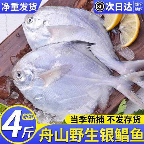 4斤鲳鱼新鲜冷冻东海海鲜水产
