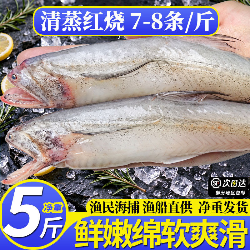 豆腐鱼九肚鱼水潺龙头鱼新鲜冷冻舟山宁波特产海鲜水产生鲜冰冻