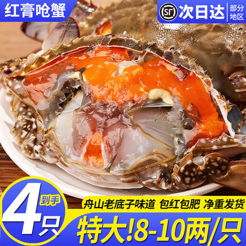 4只舟山红膏呛蟹飞机红膏蟹咸蟹