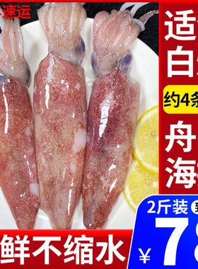 舟山新鲜鱿鱼鲜活冷冻笔管大鱿鱼冰冻海鲜商用铁板鲜烧烤尤鱼