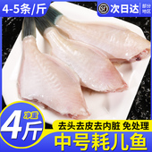 耗儿鱼中号扒皮鱼新鲜冷冻马面鱼中大码 剥皮鱼商用批发海鲜火锅