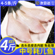 耗儿鱼中号扒皮鱼新鲜冷冻马面鱼中大码 剥皮鱼商用批发海鲜火锅