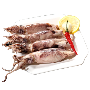 海兔子满籽海兔新鲜冷冻带籽笔管鱼全籽籽乌商用批发净重不缩水