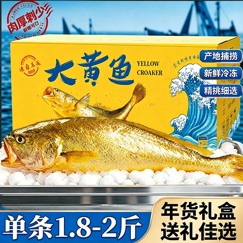 大黄鱼礼盒特大黄花鱼海鲜大礼包图片