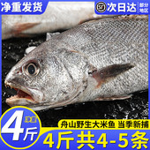 舟山特大米鱼新鲜冷冻深海大鮸鱼鲜活海鲜水产海捕大鳘鱼整箱4斤