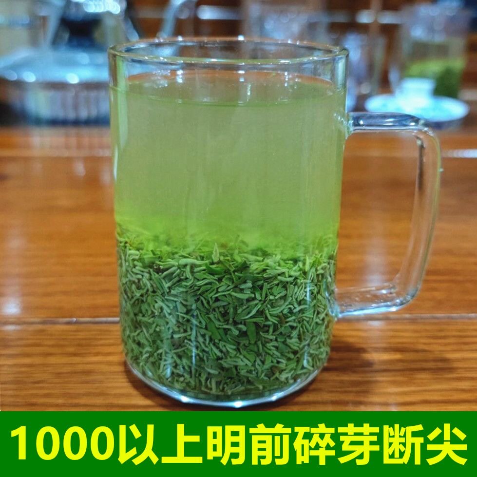 信阳毛尖新茶叶明前断芽碎茶绿茶散装茶末浓香型口粮茶袋装500g