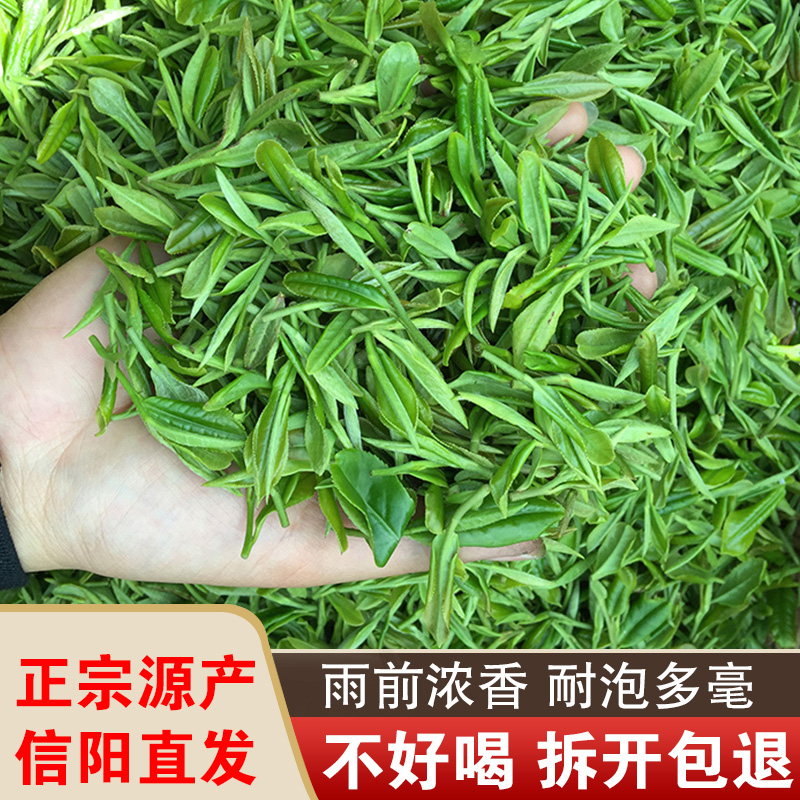 正宗绿茶信阳原产毛尖纯手工明前