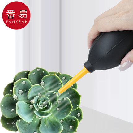 吹气球/气吹A1pn001-多肉除尘相机镜头单反清洁洗耳吸尘吹电脑键